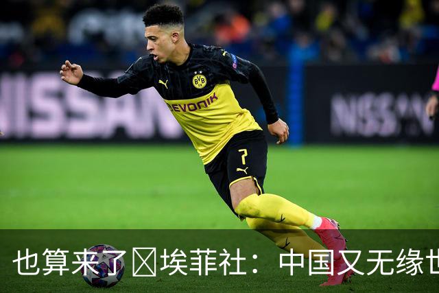 也算来了😅埃菲社：中国又无缘世界杯，但中国企业深度参与其中